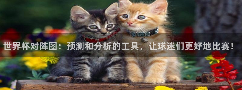 女足世界杯直播在线观看免费高清:世界杯对阵图:预测和分析的工具,让球迷们更好地比赛!