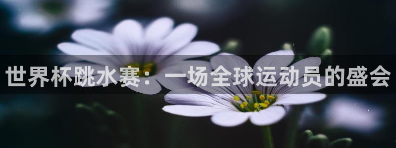 亚洲区世界杯预选赛:世界杯跳水赛:一场全球运动员的盛会