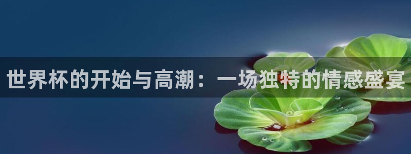 2026年世界杯赛程表时间:世界杯的开始与高潮:一场独特的情感盛宴