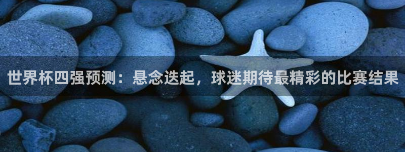 2006年世界杯冠军:世界杯四强预测:悬念迭起,球迷期待最精彩的比赛结果