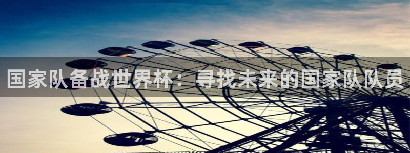 2026世界杯官网:国家队备战世界杯:寻找未来的国家队队员