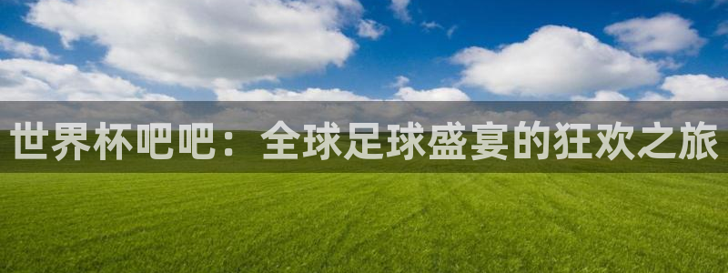 世界杯欧洲预选赛:世界杯吧吧:全球足球盛宴的狂欢之旅