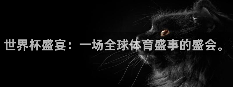 世界杯球赛:世界杯盛宴:一场全球体育盛事的盛会。