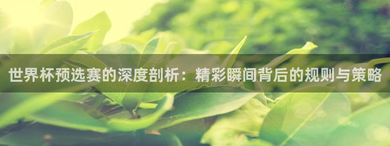 2026世界杯赛制:世界杯预选赛的深度剖析:精彩瞬间背后的规则与策略