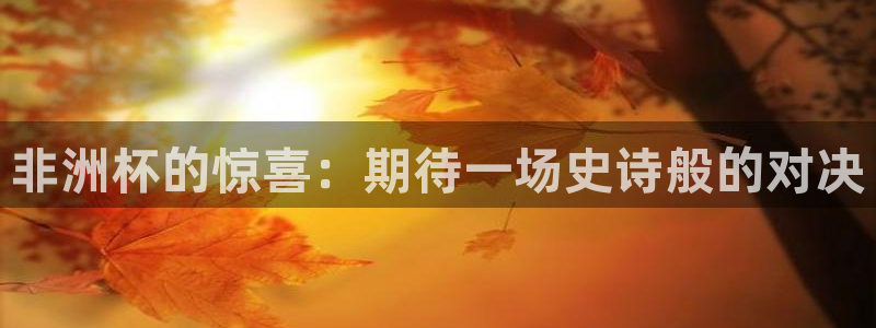 世界杯亚洲区预选赛赛程表:非洲杯的惊喜:期待一场史诗般的对决